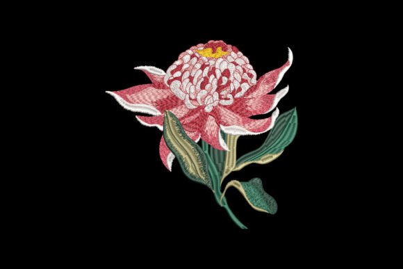 Blossom of Fire