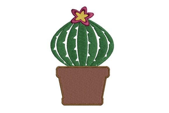 Cactus and Succulent