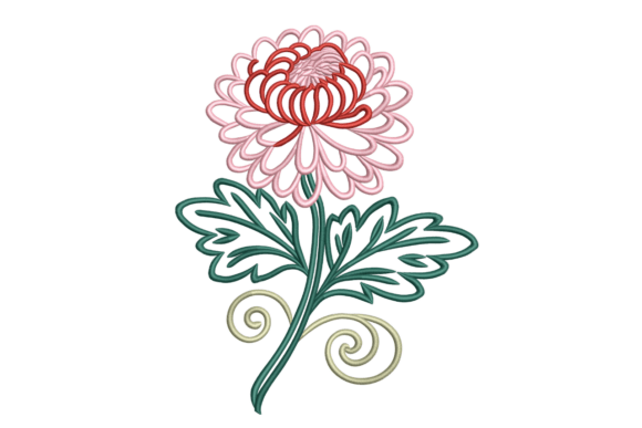 Chrysanthemum Flourish