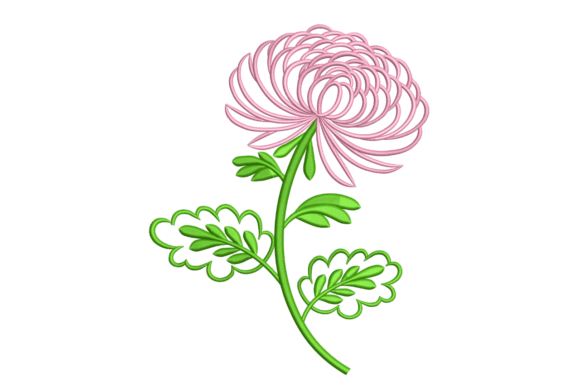 Chrysanthemum Outline Flower