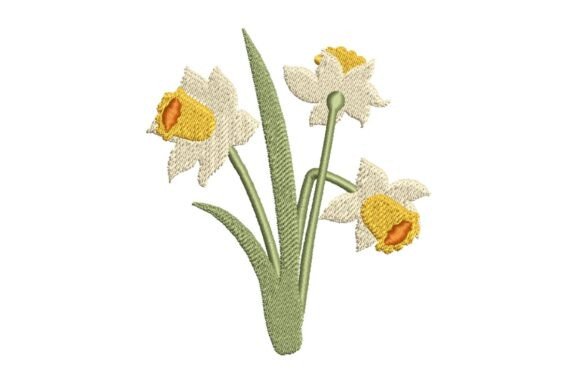 Elegant Daffodils