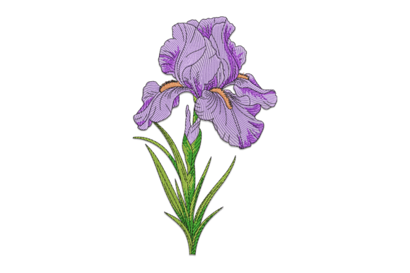 Purple Iris: A Small Business Embroidery Review