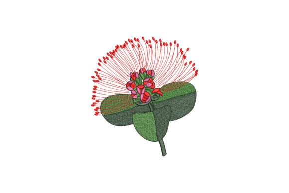 Red Pohutukawa