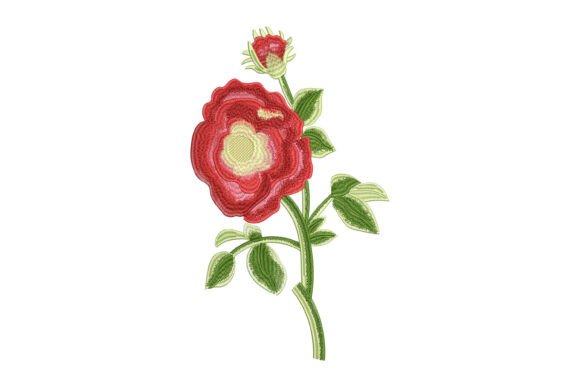 Romance in Bloom